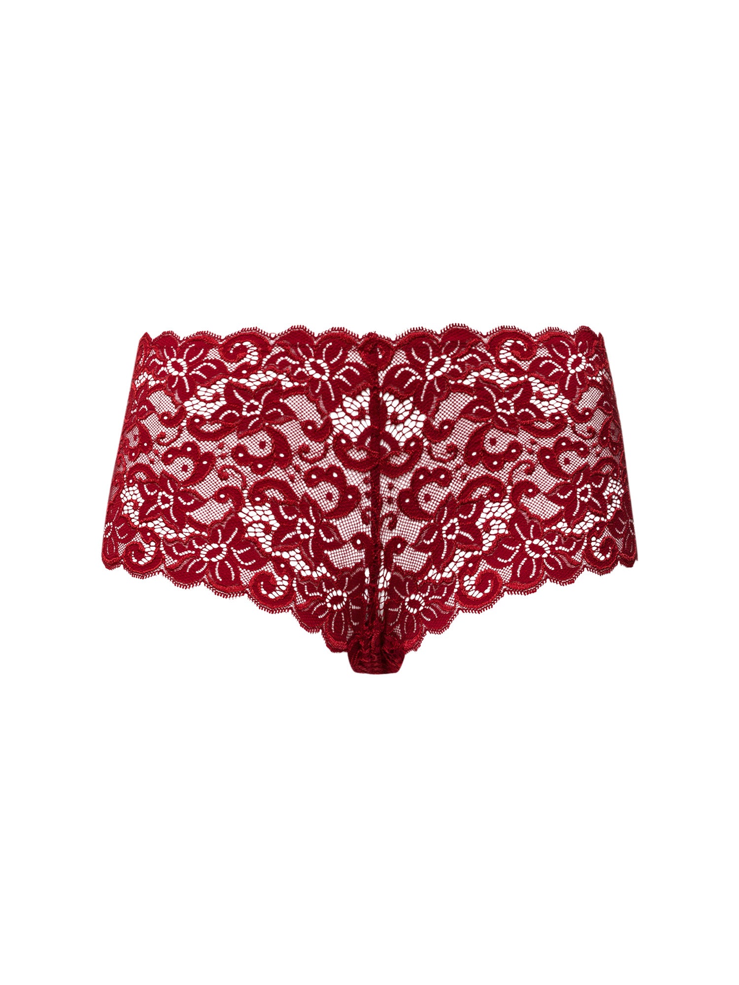 red dahlia / L