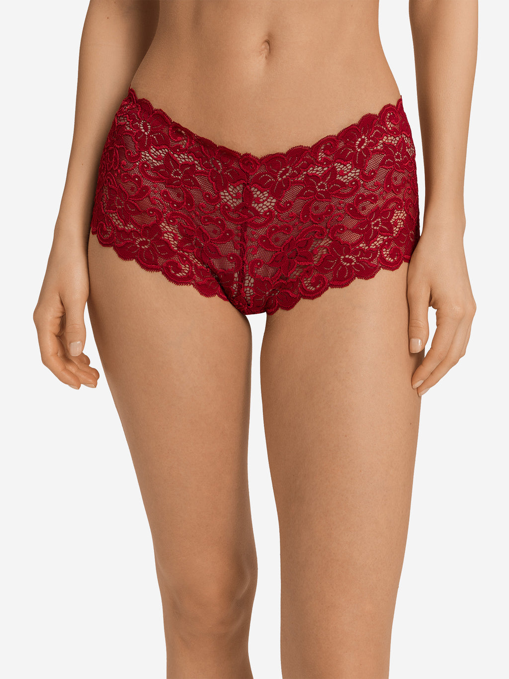 red dahlia / L