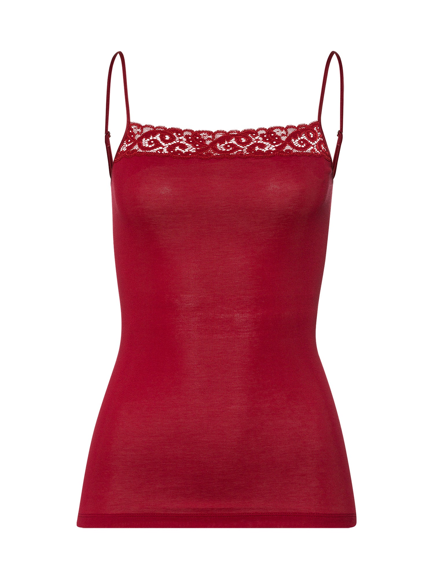 red dahlia / L