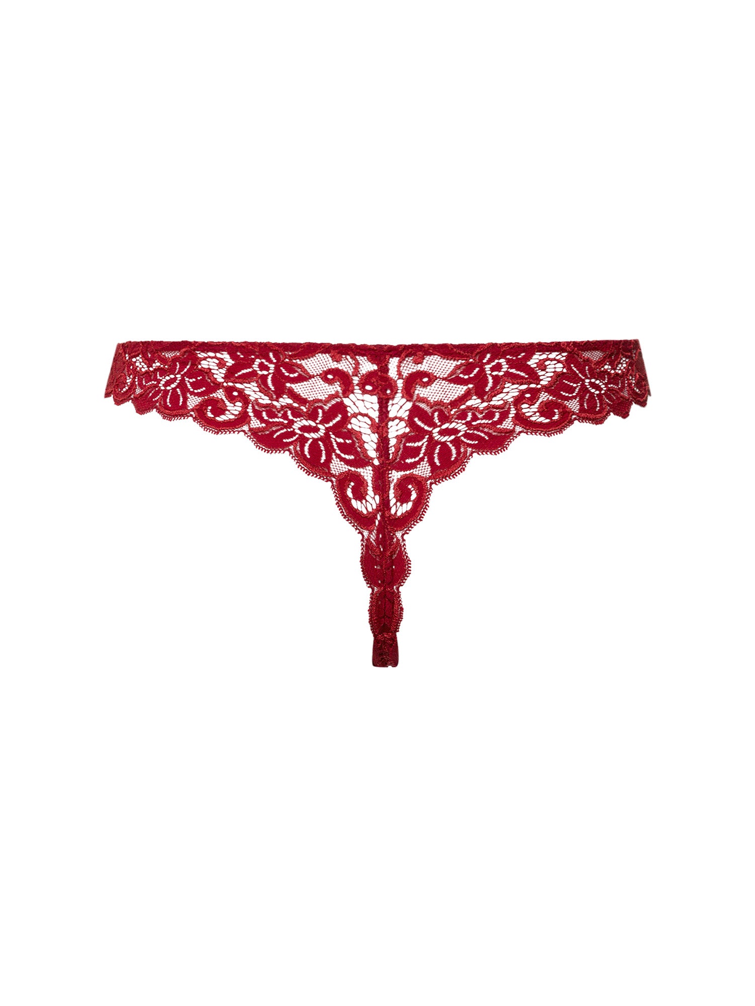 red dahlia / L