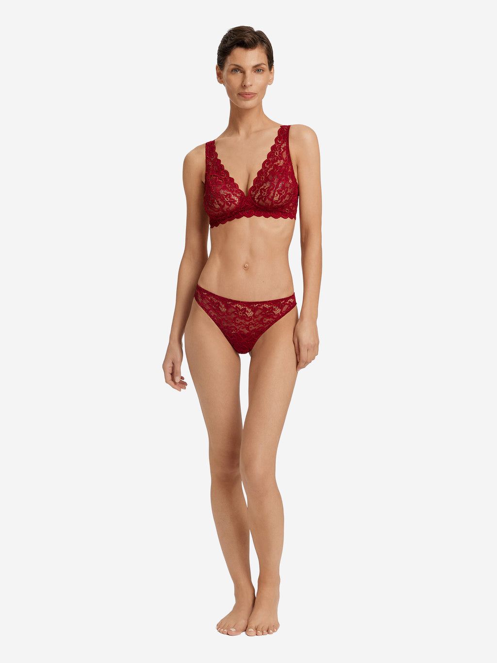 red dahlia / L