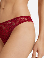 red dahlia / L