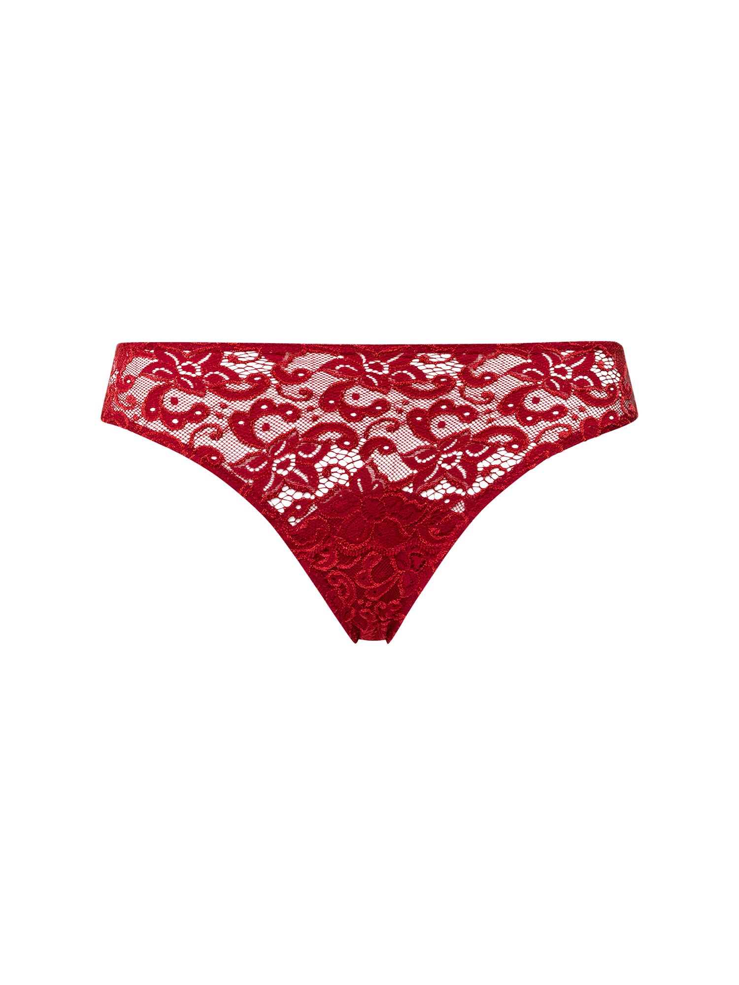 red dahlia / L