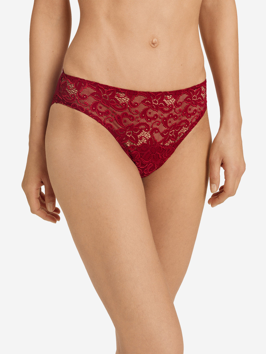 red dahlia / L