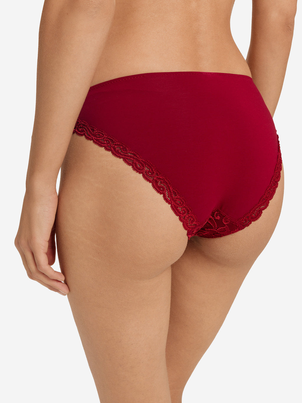 red dahlia / L