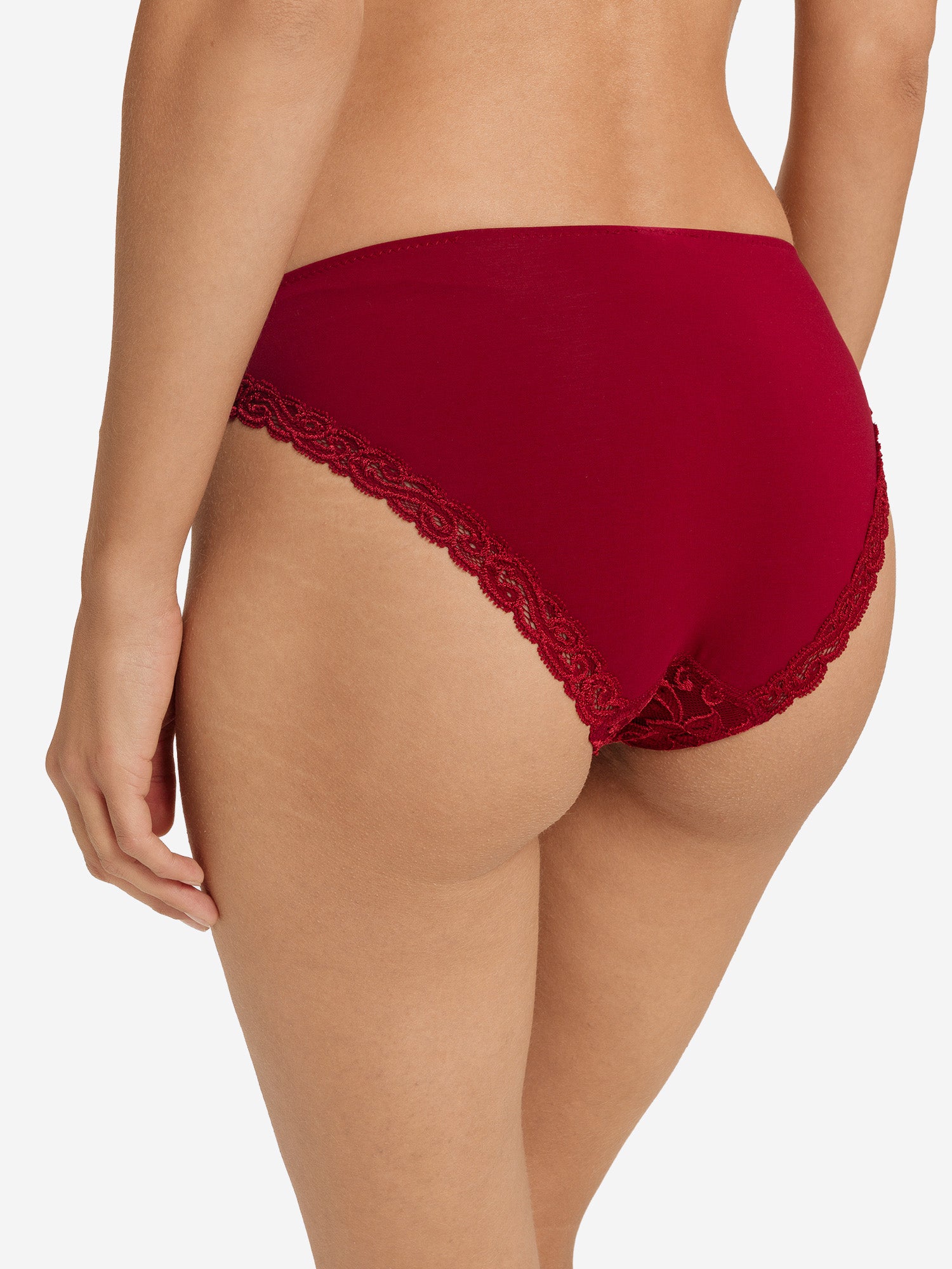 red dahlia / L