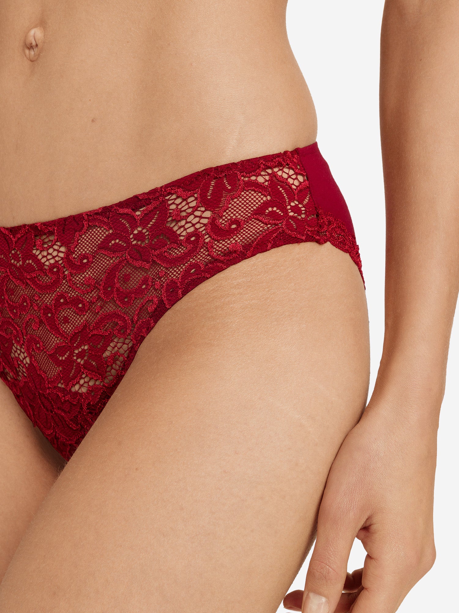 red dahlia / L