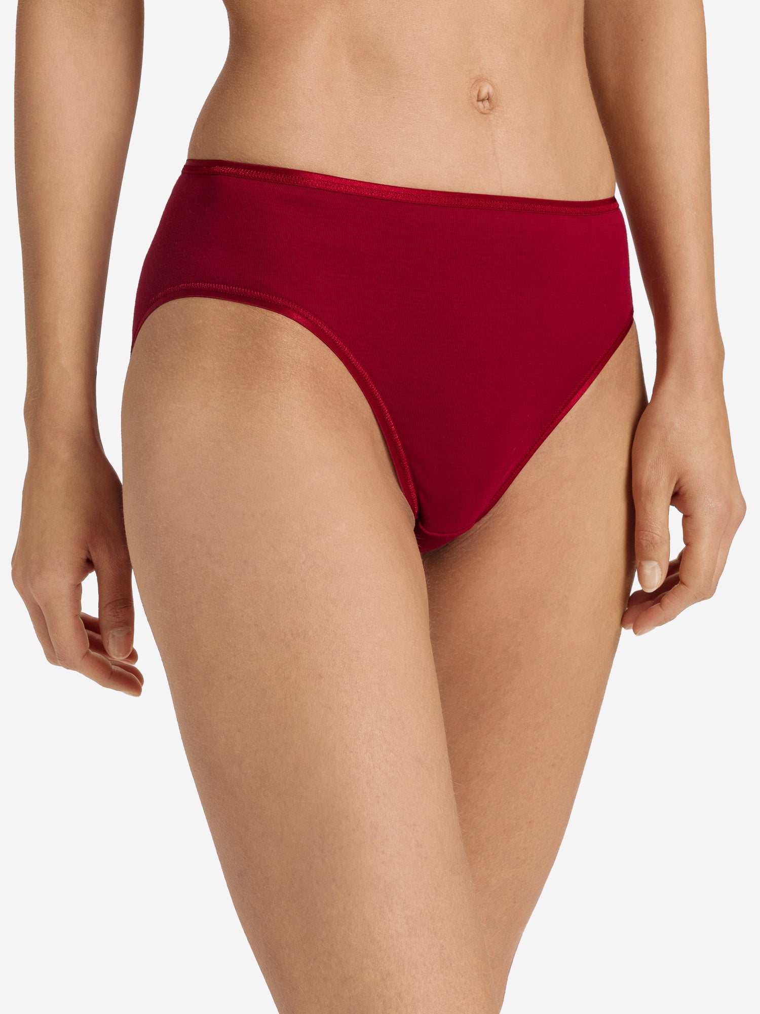 red dahlia / L