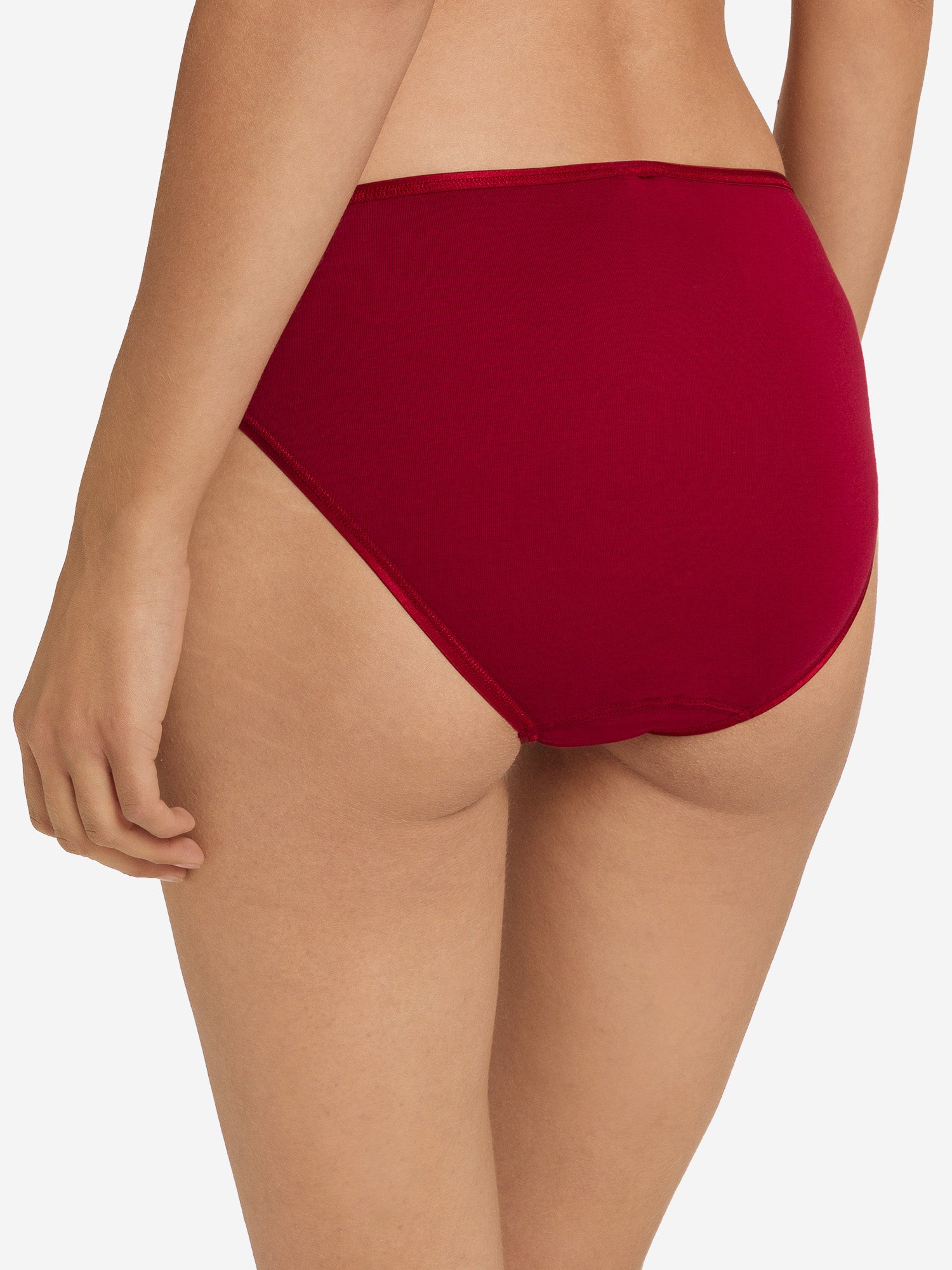 red dahlia / L