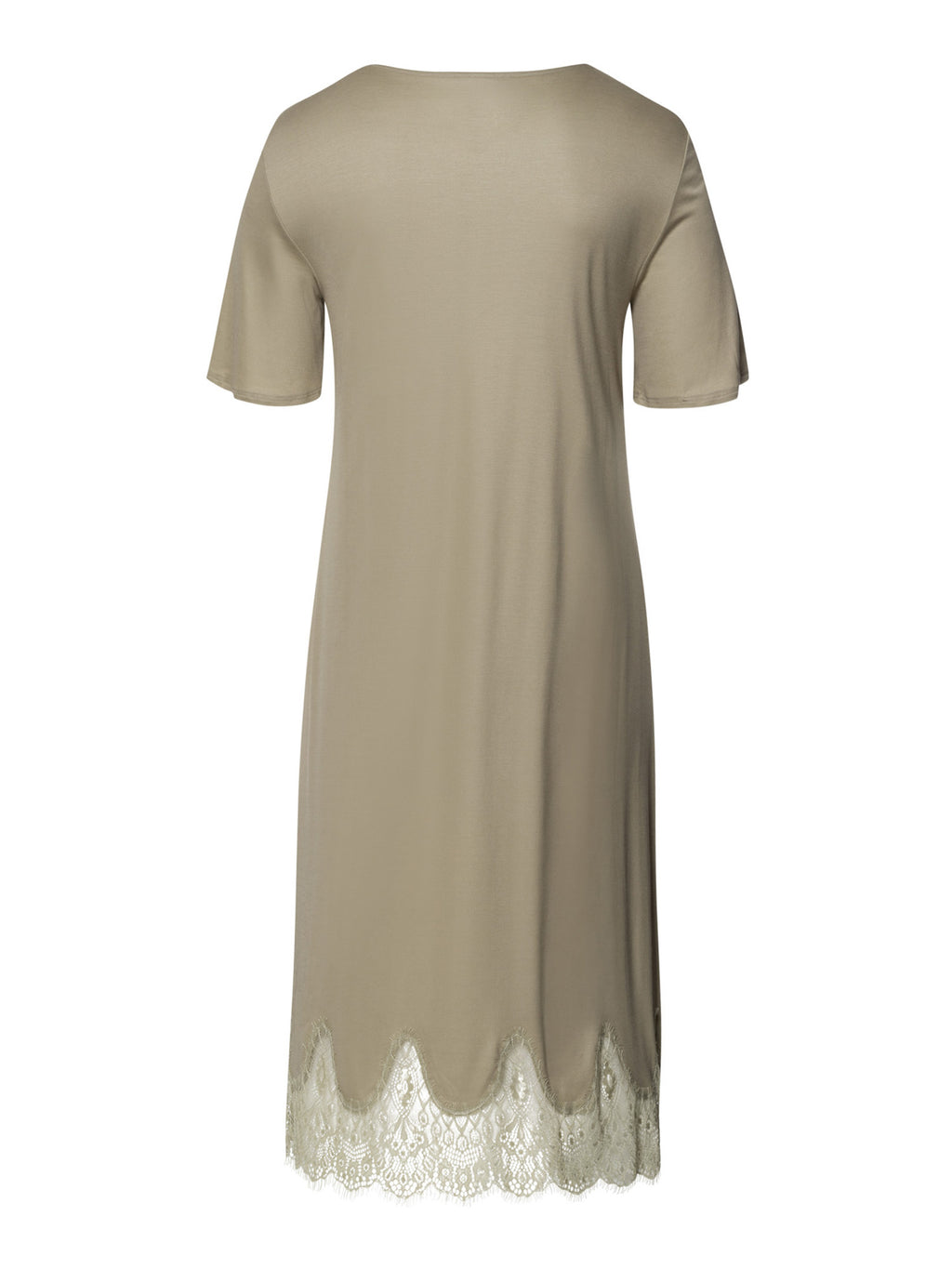 silver sage / L