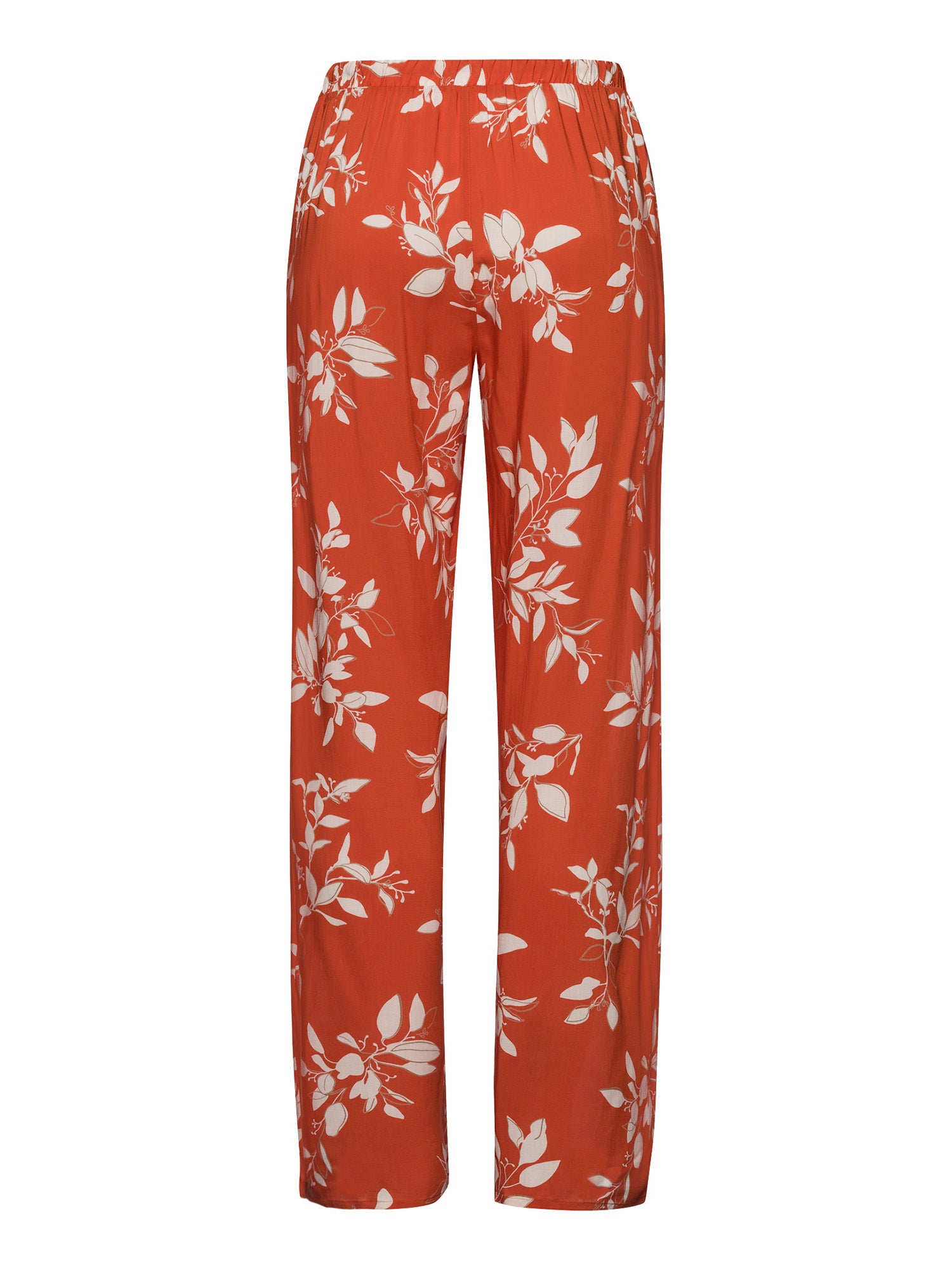 tangerine flowers / L