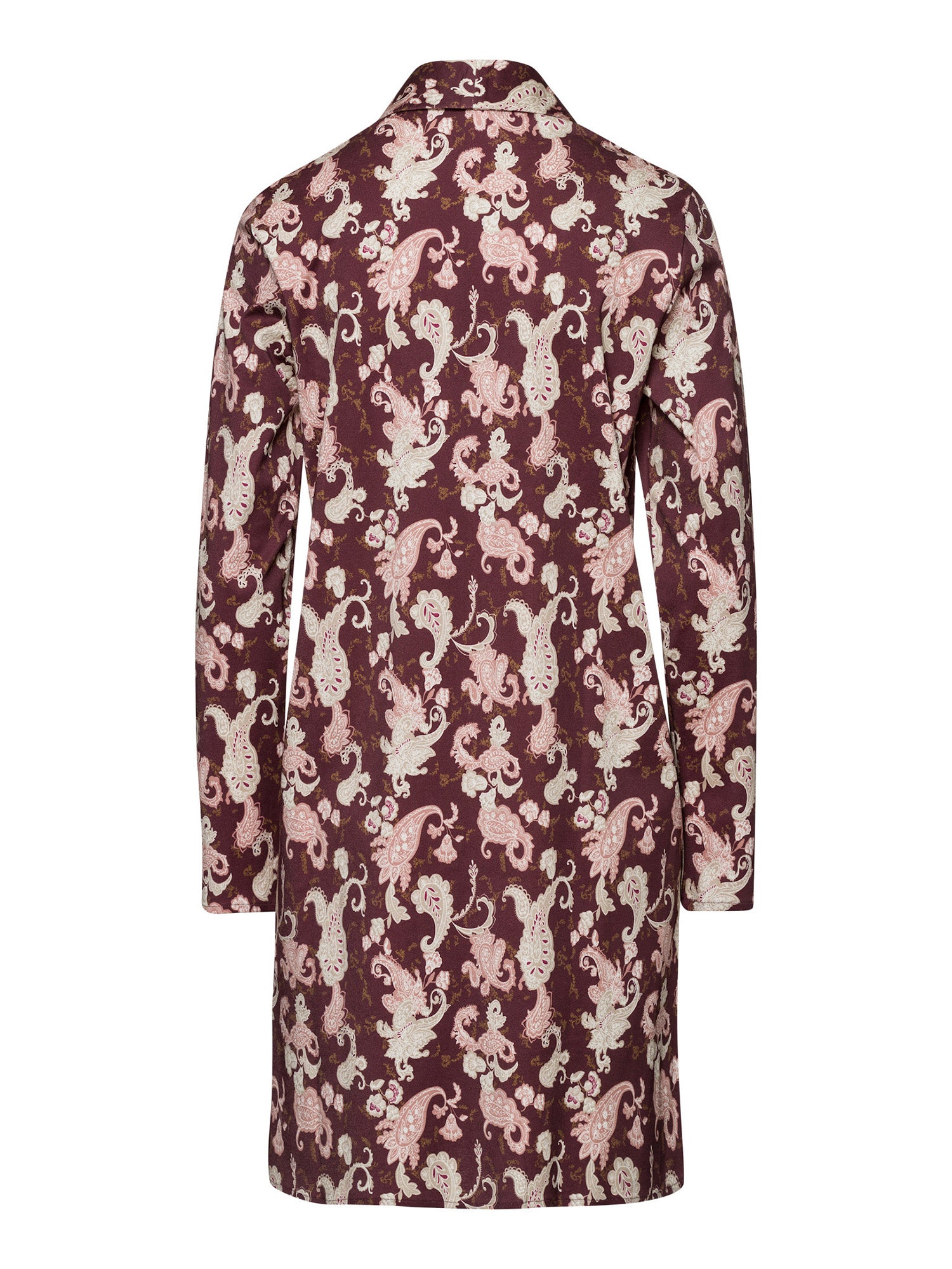 meraki paisley / L
