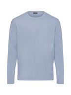 blue dye / L