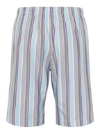jaunty stripe / L