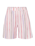 painted stripe / L