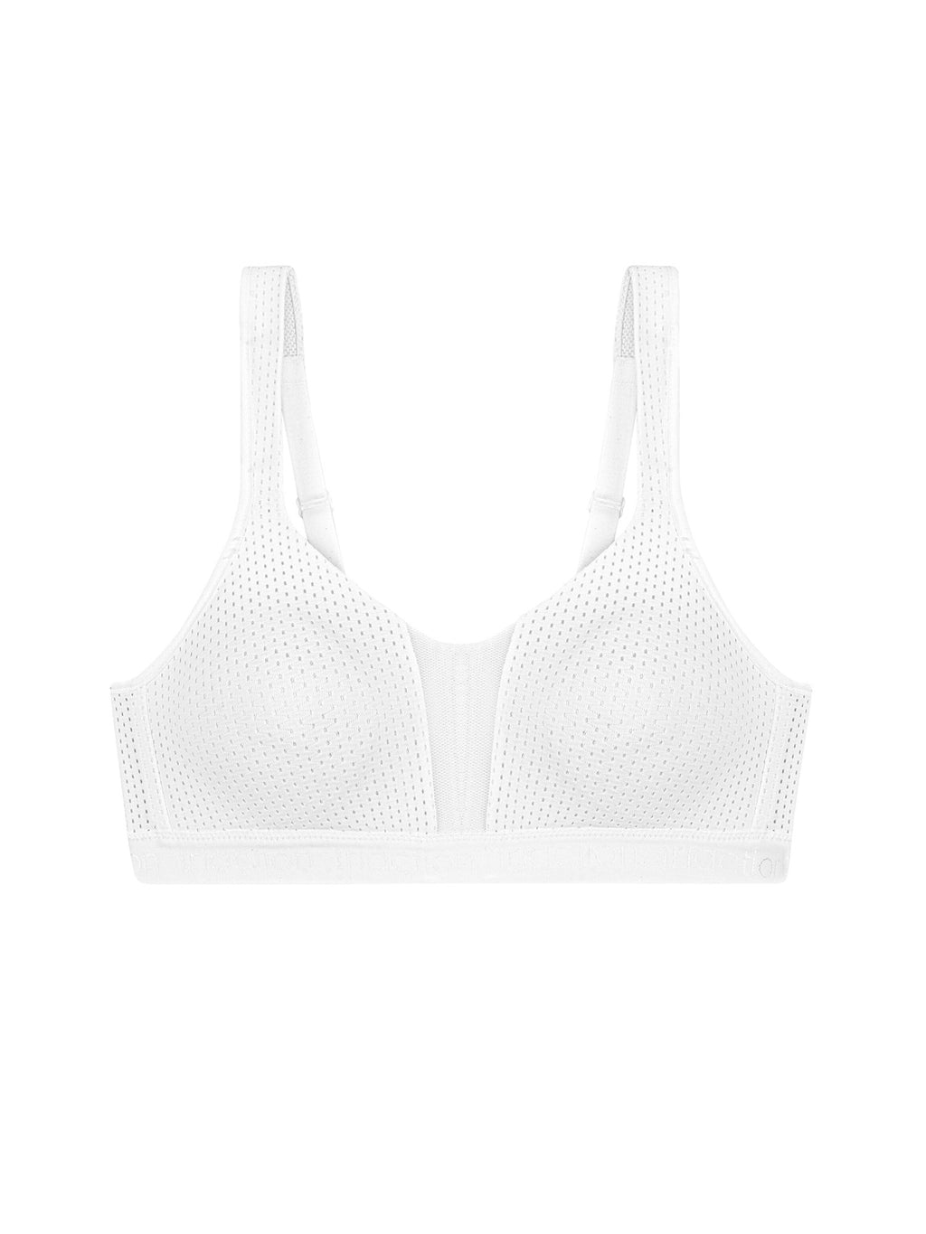 WHITE / 70B