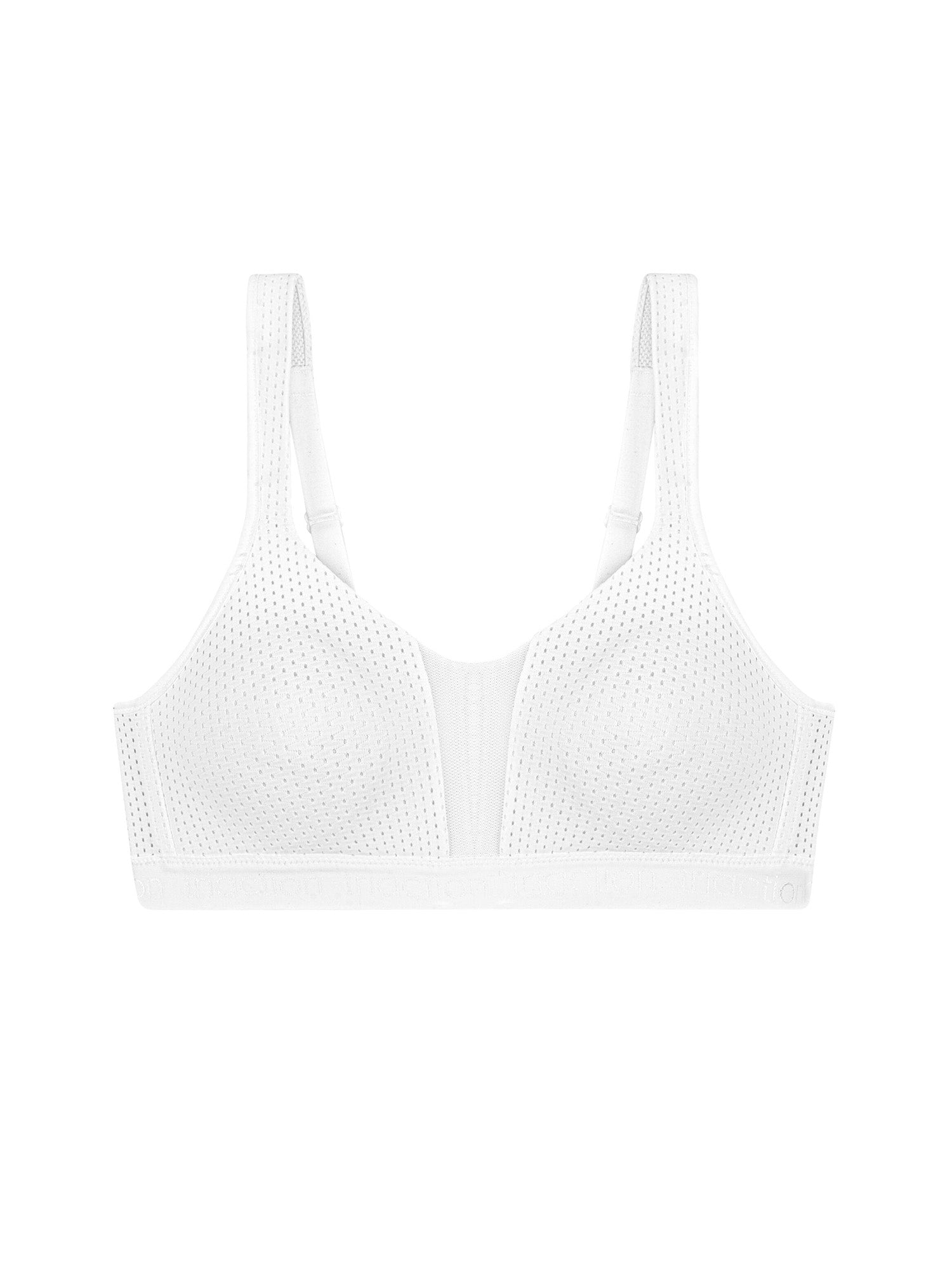 WHITE / 70B