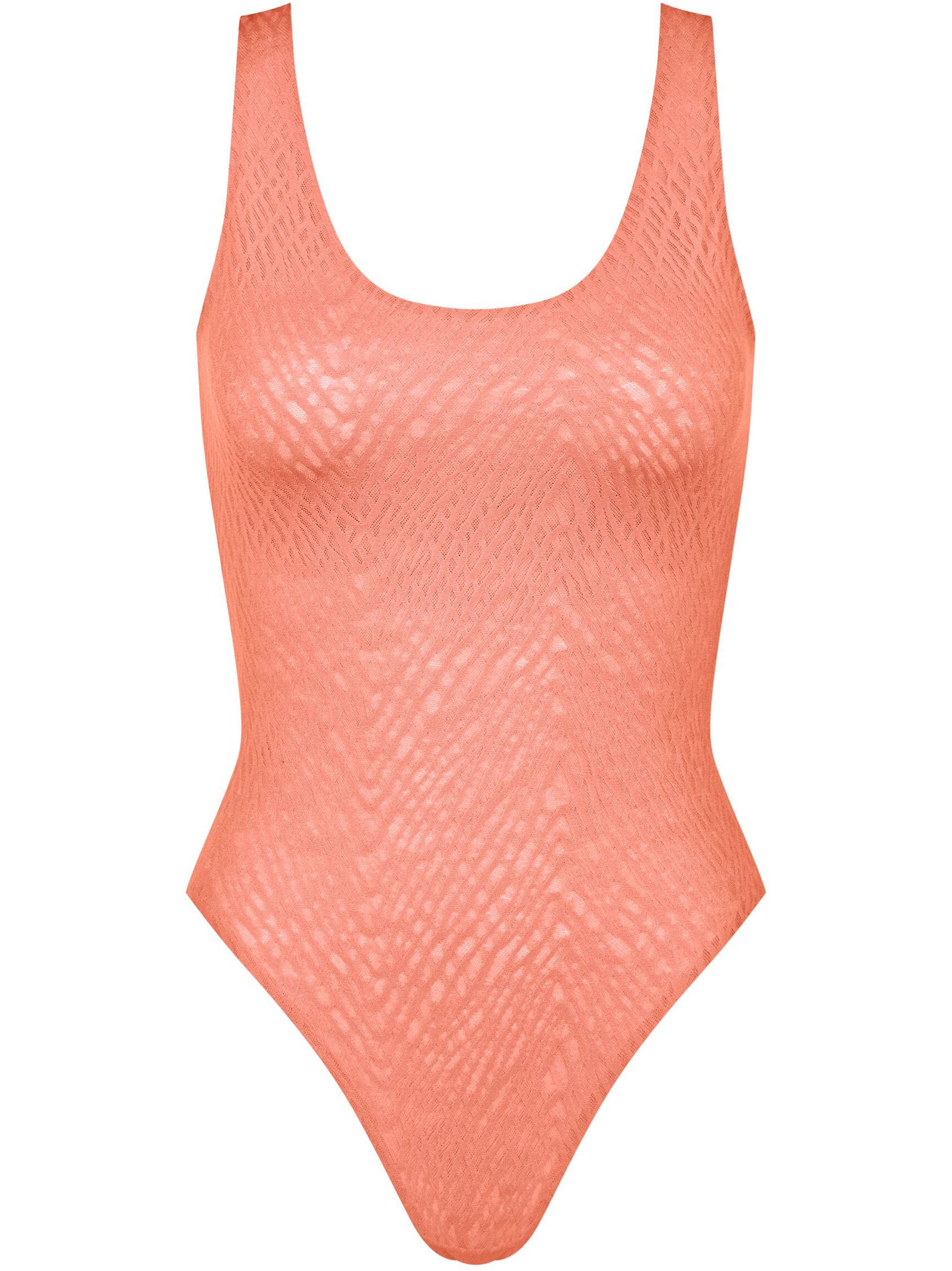 LOVELY APRICOT / L