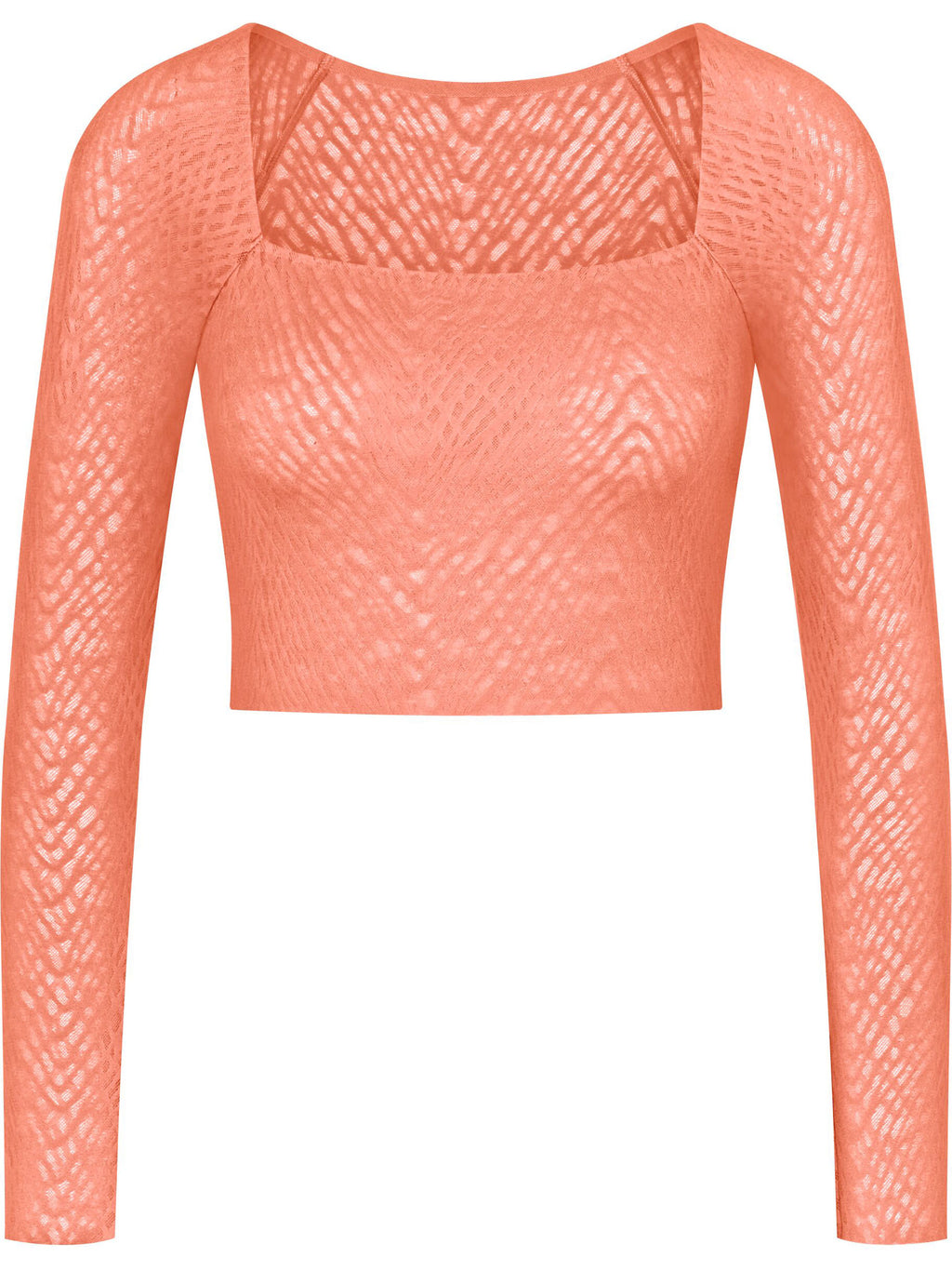 LOVELY APRICOT / L