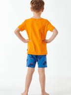 orange, blau / 104