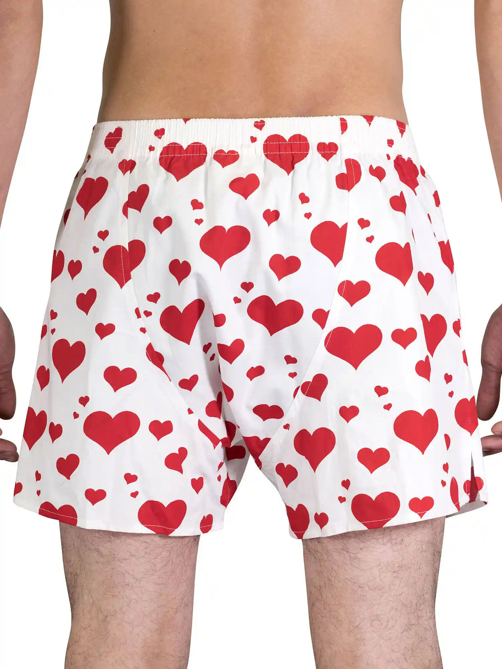 Sugar Pine Herren Boxershorts Motiv Print Mix 9er Pack
