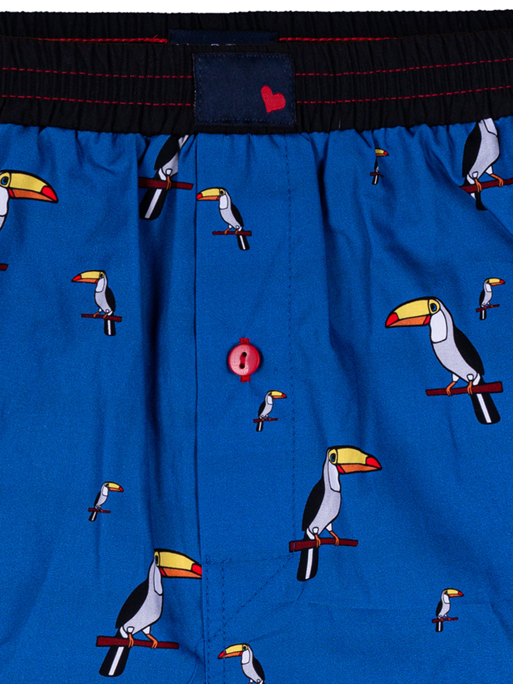 BLUE TUCAN / L