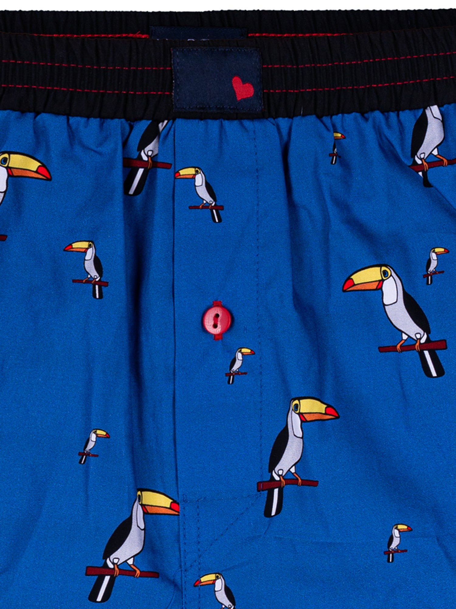 BLUE TUCAN / L