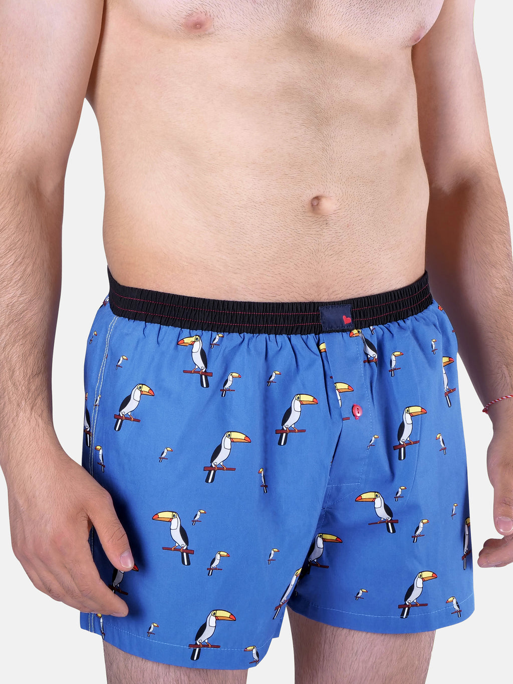 BLUE TUCAN / L