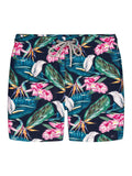 Bondi Joe men's swim shorts Roscoe Green
