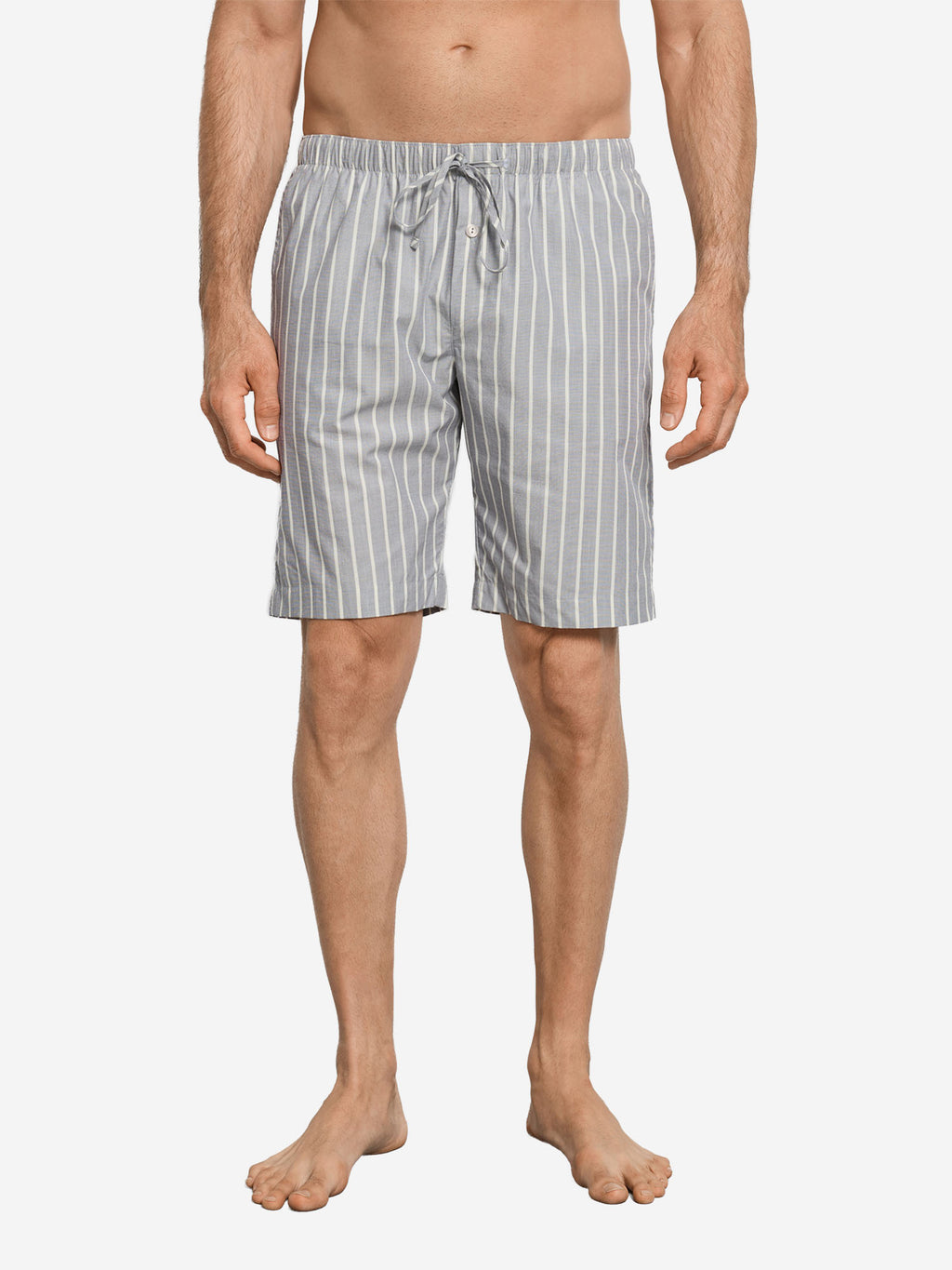 denimstripe / L