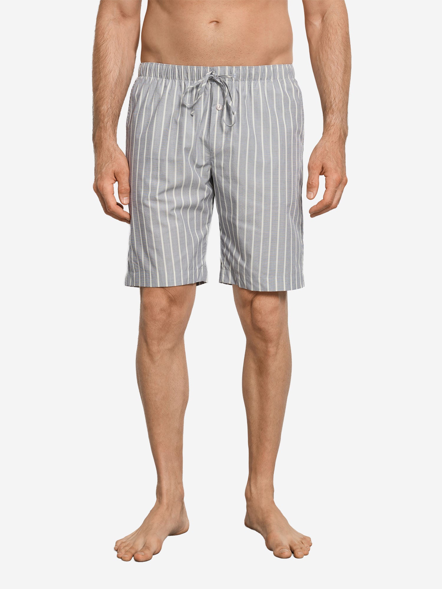 denimstripe / L