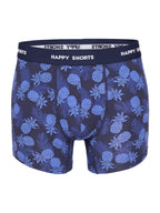 Pineapple Hawaii / L