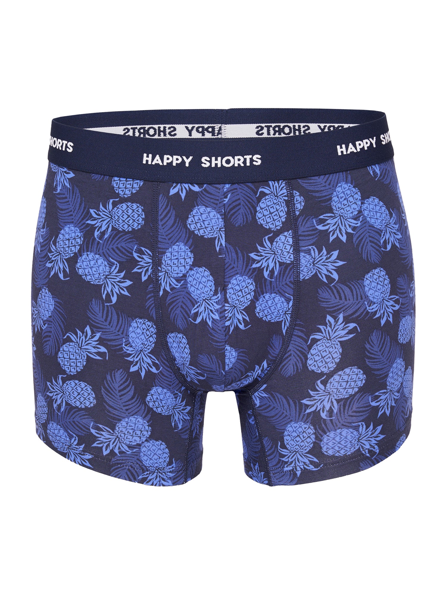 Pineapple Hawaii / L