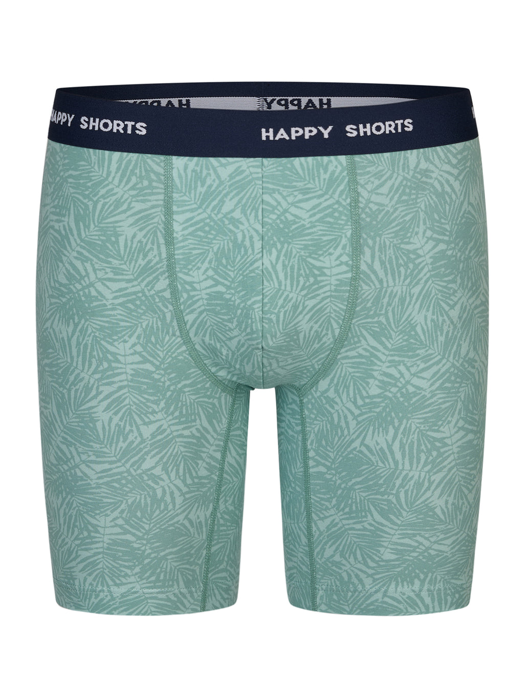 palm leaves / L