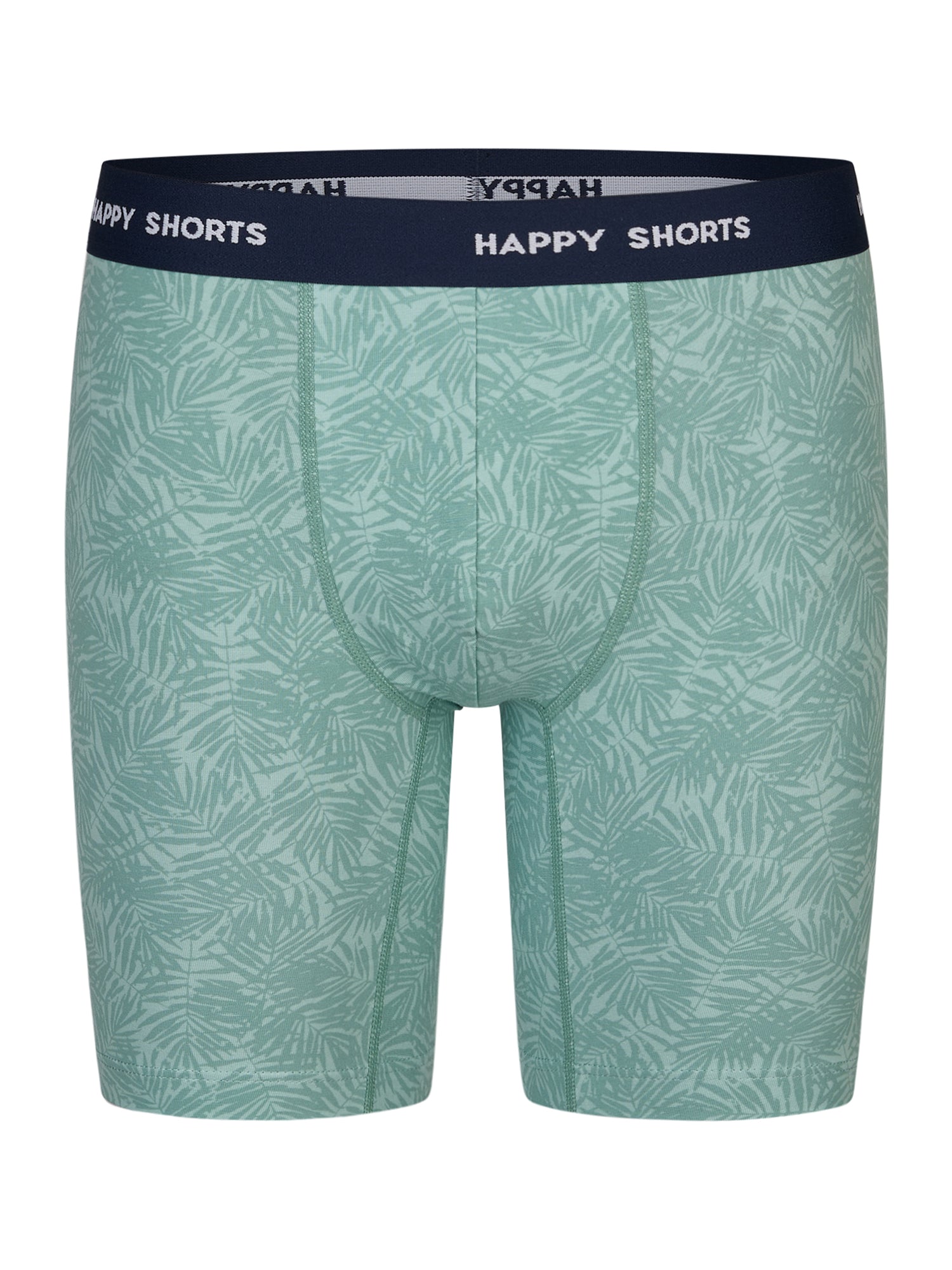 palm leaves / L
