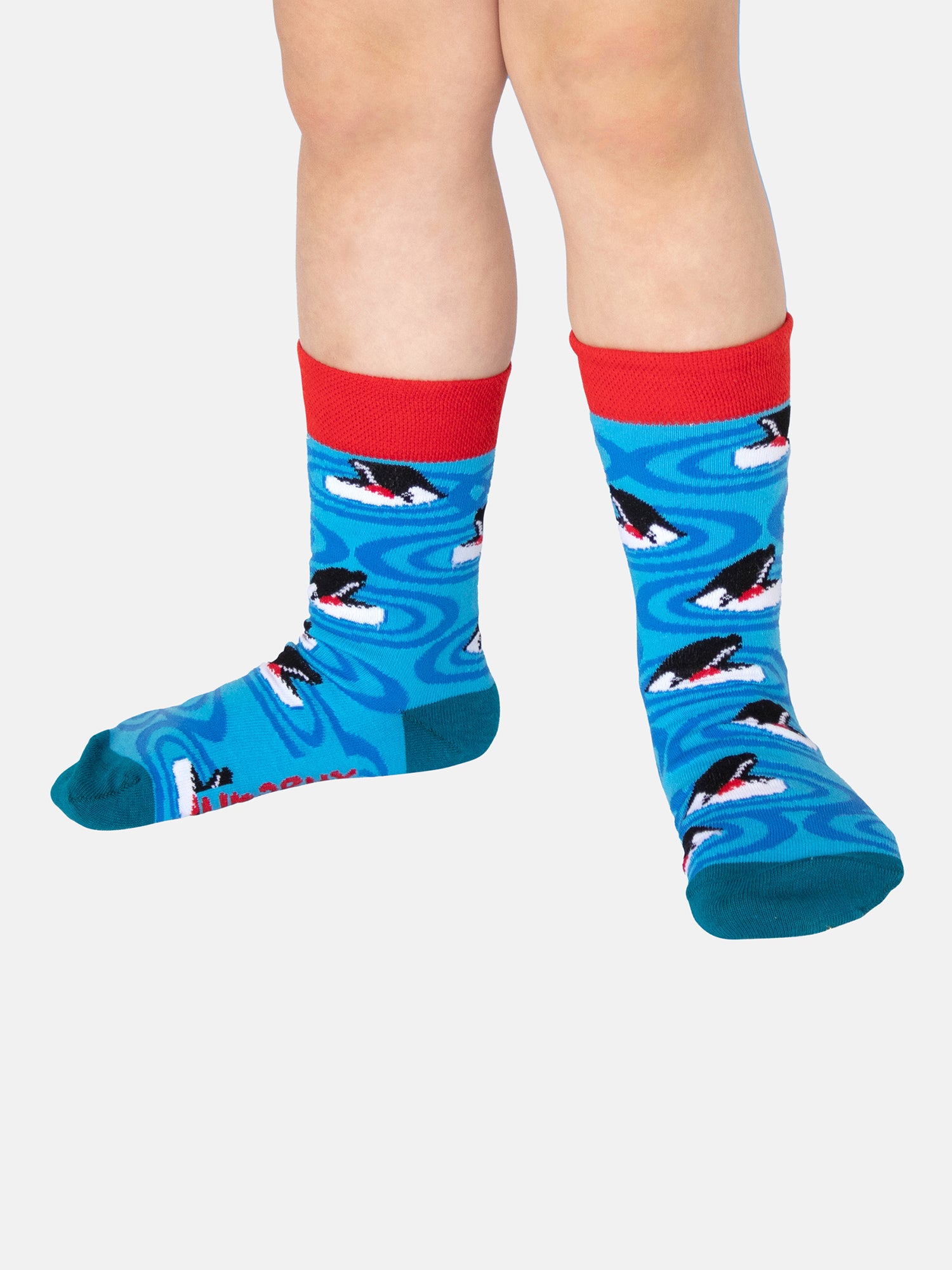 ORCA SMILE JUNIOR / 31-35