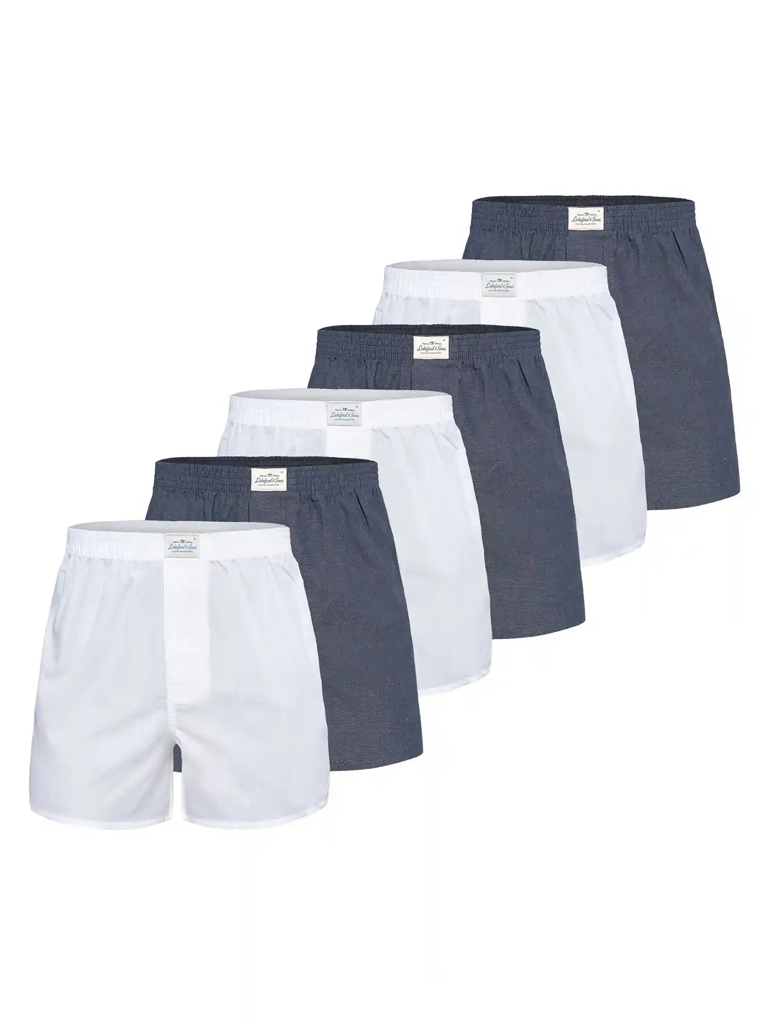 Lakeford &amp; Sons herenboxershorts in Amerikaanse stijl met klassieke designs, 6-pack