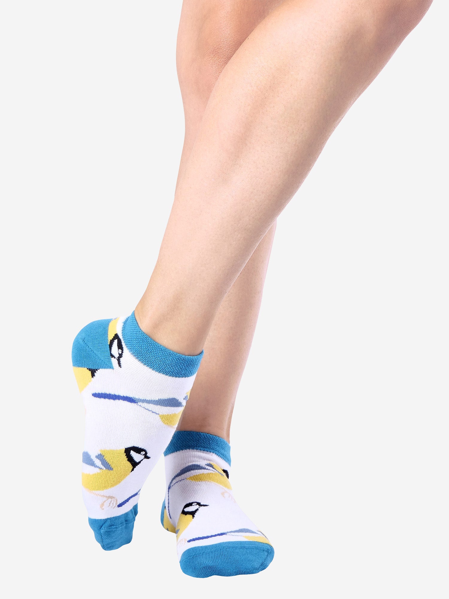 CHICKADEE / 37-40