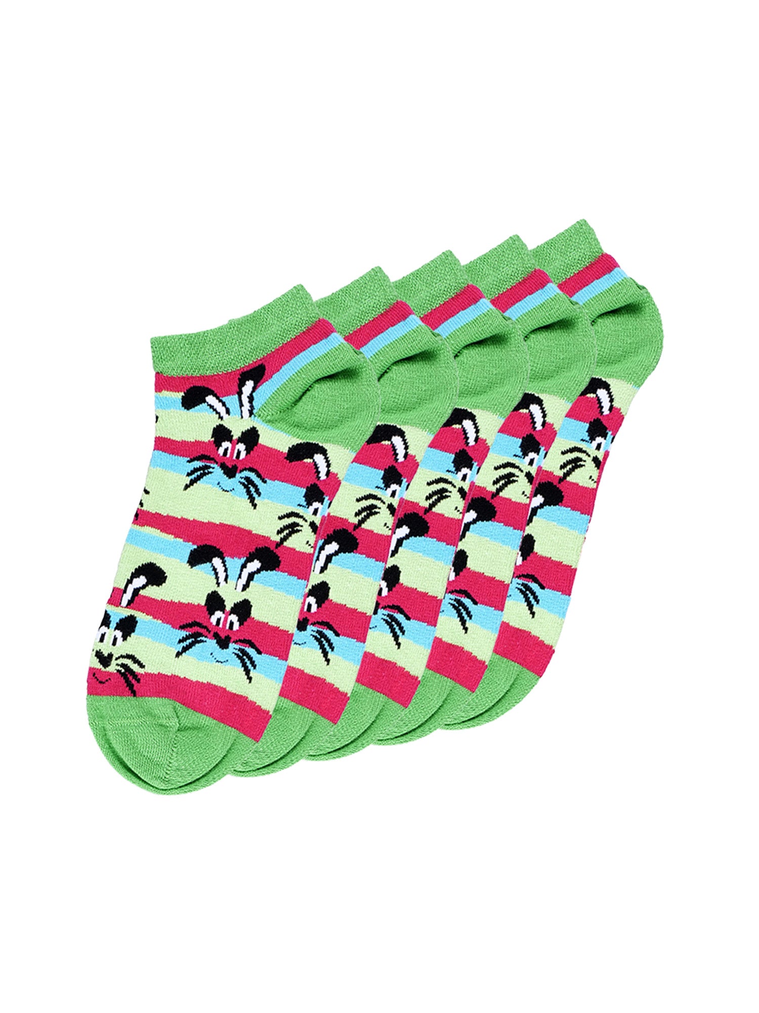 SHORT STRIPED RABBIT / 42-46
